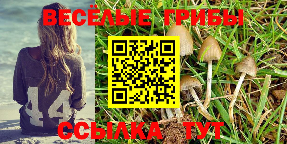Верхняя Салда  Псилоцибиновые грибы Magic Shrooms  Вход с VPN  продажа наркотиков  Псилоцибиновые грибы мицелий 